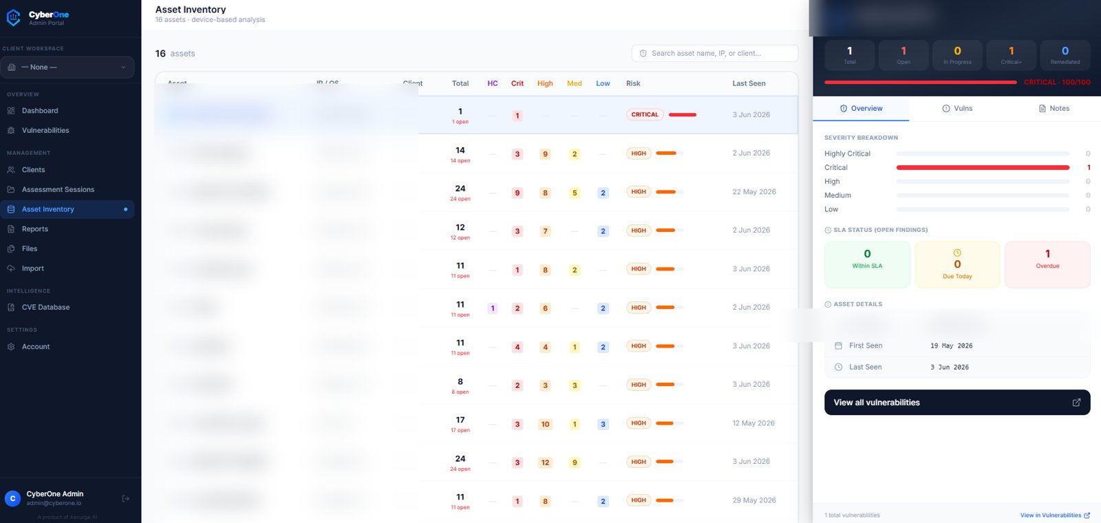 Asset inventory — findings traced back to the host (client data redacted)