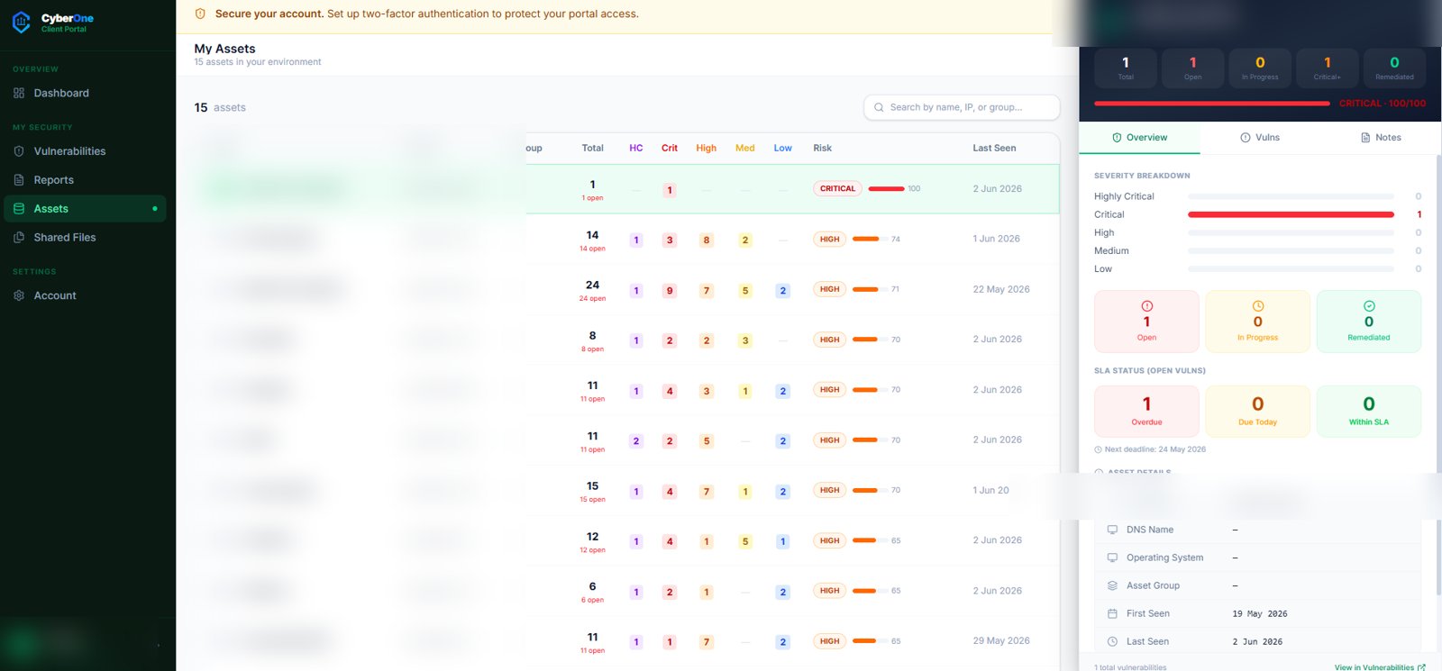Client-side asset view (client data redacted)